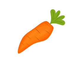 Cartoon style carrot vegetable illustration. Hand-drawn carrot vegetable illustration. Flat design carrot vegetable illustration. Vector illustration of carrot vegetable 