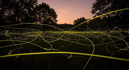 Enchanting Night: Fireflies Weave Luminous Trails Across a Dusky Meadow, Illuminating the Calm...