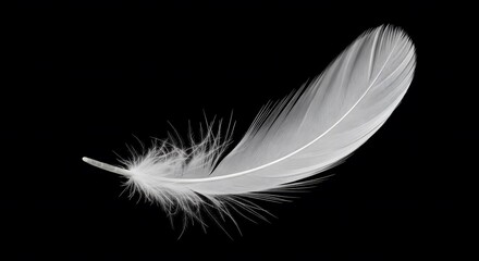 Delicate White Feather Floating in Darkness, Symbolizing Lightness, Purity, and Tranquility Against a Deep Background