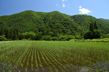 里山の田園風景