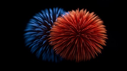 Two vibrant spherical fireworks orange and blue burst against a black background