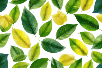 Green and yellow leaves pattern isolated on transparent background