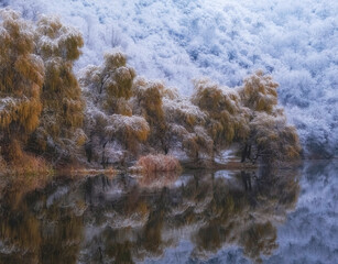 A beautiful landscape of late autumn in November when pure white snow fell on trees with yellow...