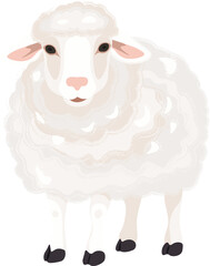 White Sheep