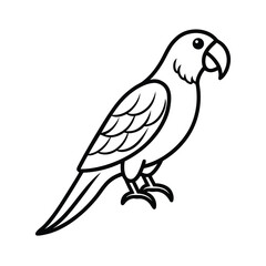 Fototapeta premium parrot illustration tropical bird design carton