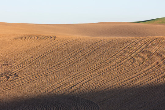 Detail of fertile, tilled farmland and rolling hills at dusk, Palouse