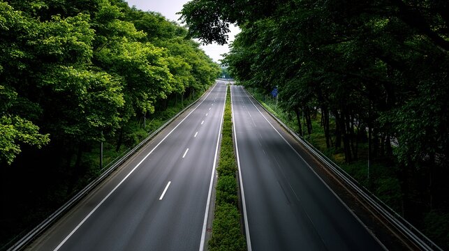 empty dual carriageway highway lined with lush green trees under  overcast sky