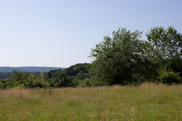 Obraz premium Idyllic landscape with meadows and distant mountain silhouettes, dotted with greenery and surrounded by gentle hills