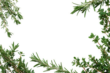 Naklejka premium Rosemary and thyme sprigs frame a white background