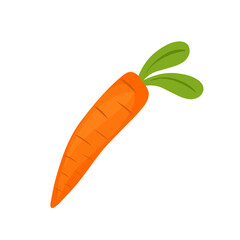 Cartoon style carrot vegetable illustration. Hand-drawn carrot vegetable illustration. Flat design carrot vegetable illustration. Vector illustration of carrot vegetable 