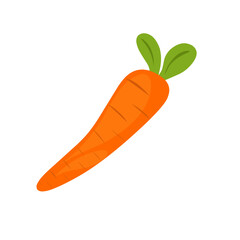 Cartoon style carrot vegetable illustration. Hand-drawn carrot vegetable illustration. Flat design carrot vegetable illustration. Vector illustration of carrot vegetable 
