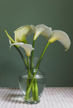 Calla lilies in a glass vase, shot with natural light