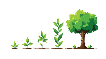 Plant growth phases. Infographic about planting trees. Concept of evolution. Icons for sprout, plant, and tree growth in agriculture. Vector illustration in a flat style.