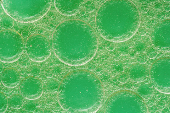 Macro view of oil bubbles with green background