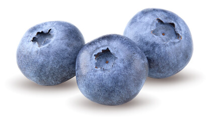 blueberries isolated on white background. clipping path