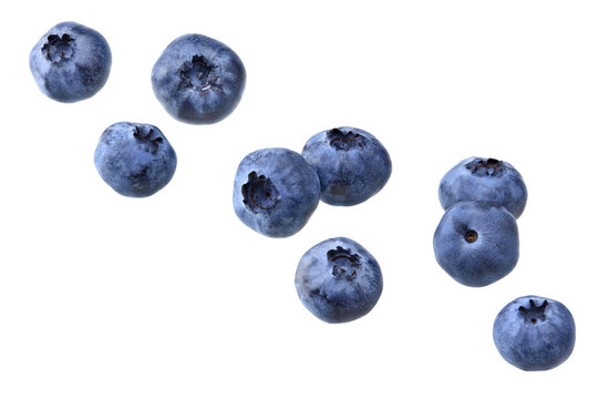 blueberries isolated on white background. clipping path