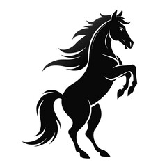 Powerful black horse rearing up with flowing mane and tail on white background