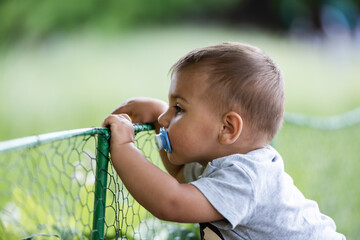 Curious toddler with pacifier exploring green wire mesh fence in park