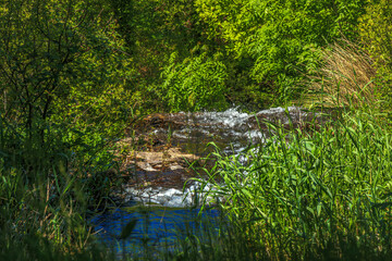 River near Brousse and Villaret in Aude.
Small waterfalls flowing among rocks and undergrowth in the South of France.
