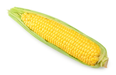 Fresh corn on cob isolated on white background. clipping path