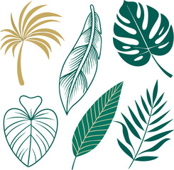  Minimal Botanical Palm Leaf Line Art
