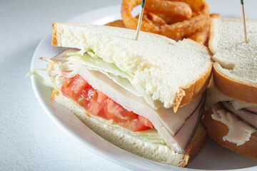 A view of a turkey sandwich.