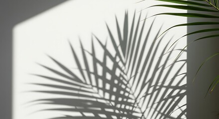 Obraz premium Shadow of palm leaves cast on a white wall, creating an abstract pattern.