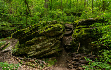 Mossy Forest Trail Between Rock Formations in Arkansas.
