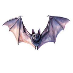 watercolor bat on white background