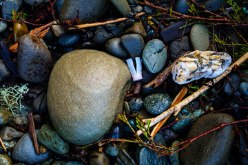 Close up of rocks and beach debris, plastic waste, flotsam on the beach