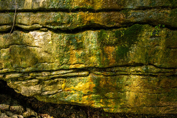 Colorful Moss and Algae on Eroded Rock Face in Nature