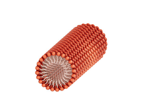 CTAB Tubular self-assembly-big
