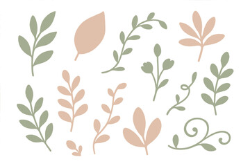 Collection of botanical elements featuring various leaf shapes and colors on a white background