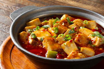 A closeup view of a bowl of mapo tofu.