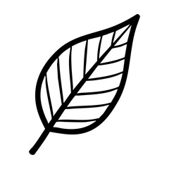 A black and white line drawing of a single leaf with a stem hand drawing vector illustration
