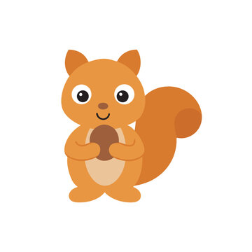 kawaii squirrel holding an acorn vector flat collour