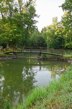Tranquil Lake Scene in Artix
