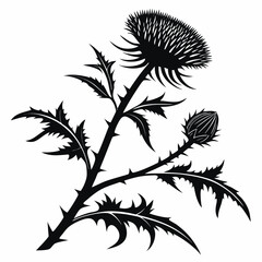 A Detailed Illustration of a Spiky Thistle Plant with a Bud