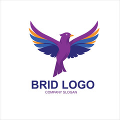 Obraz premium dove with peace sign