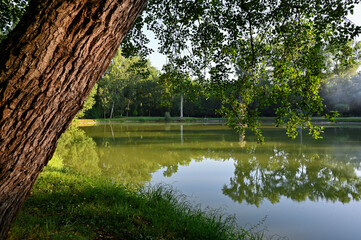 Tranquil Lake Scene in Artix