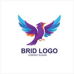 Fototapeta premium dove with wings