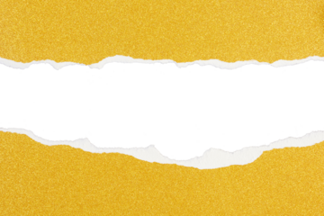 torn golden glitter paper edges isolated on white or transparent png