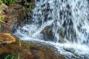 River near Brousse and Villaret in Aude.
Small waterfalls flowing among rocks and undergrowth in...