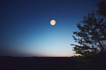 Full Moon with stars, planets and rural countryside tree silhouettes.
