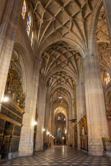 Fototapeta premium Cathedral de Santa Maria de Segovia in the historic city of Segovia, Castilla y Leon, Spain.