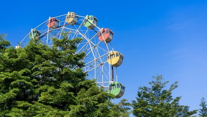 Colorful Ferris Wheel Peeking Over Trees Against a Bright Blue Sky