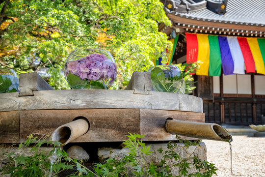 Glass bowls filled with water and flowers on top of a chōzuya or temizuya with a shinto buddhist temple and a forest in background. Jindaiji temple, Chōfu, Tokyo, Japan. 
