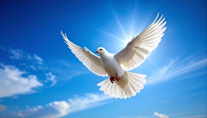 Fototapeta premium white dove or white pigeon carrying olive leaf branch on pastel background and clipping path and international day of peace