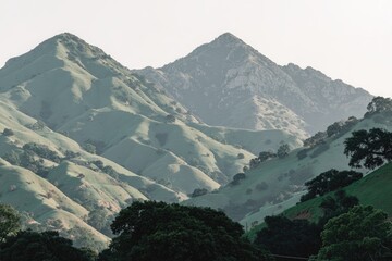 Obraz premium Rolling hills and distant mountain peak. Misty, serene landscape
