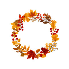Autumn wreaths and design elements. Fall. Hand drawn leaves, plants, branches. Good for Thanksgiving greeting cards, invitations, flyers and other graphic design. Vector illustration